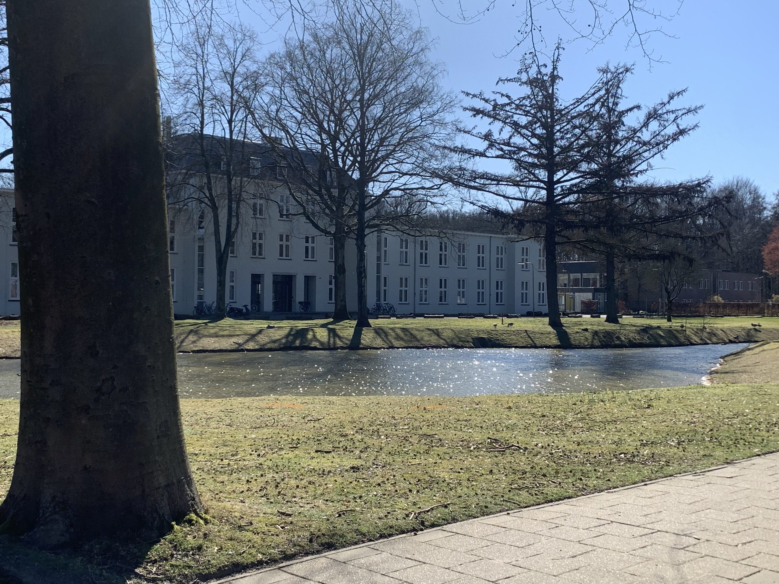Hoe werkt Nederland?